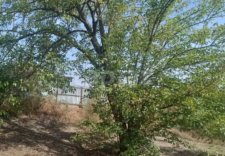 6 otaqlı mənzil , Şabran