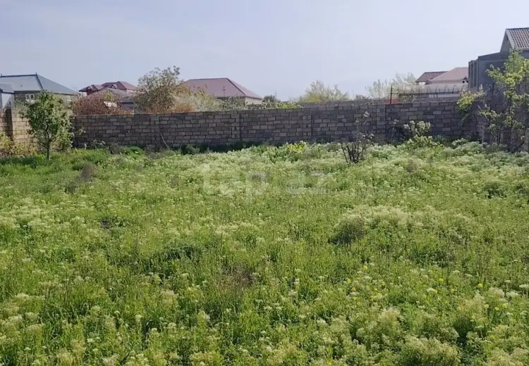 0 m² Obyekt / Ofis , Saray, Abşeron