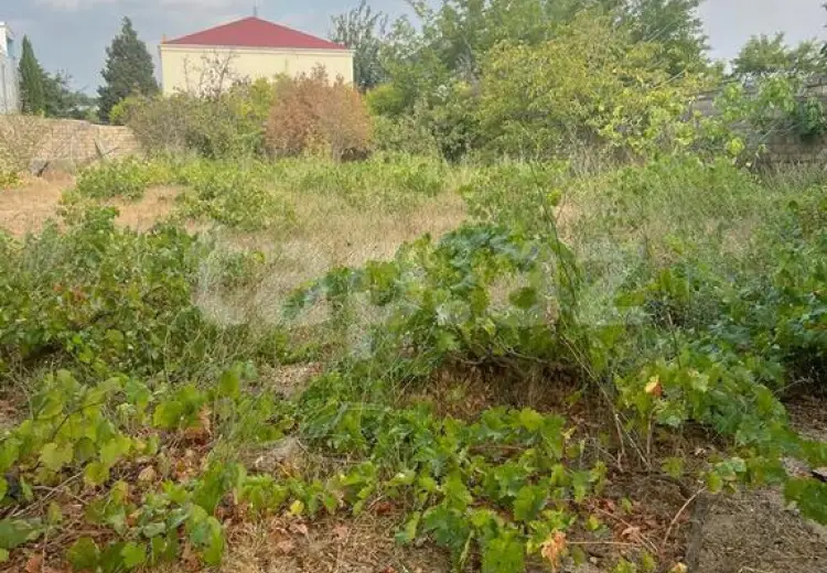 0 m² Obyekt / Ofis , Novxanı, Abşeron