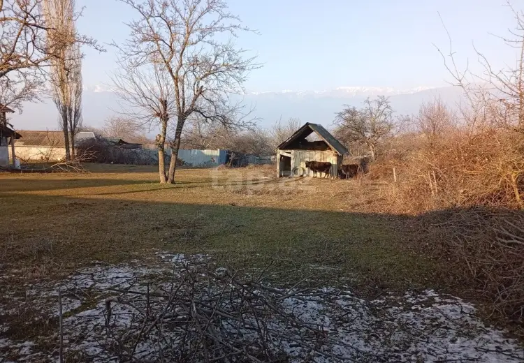 0 m² Obyekt / Ofis , Bakı