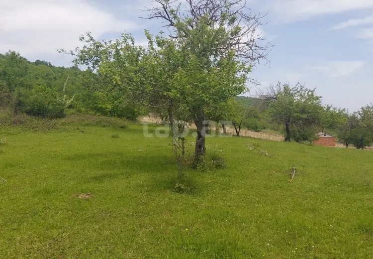 0 m² Obyekt / Ofis , Quba