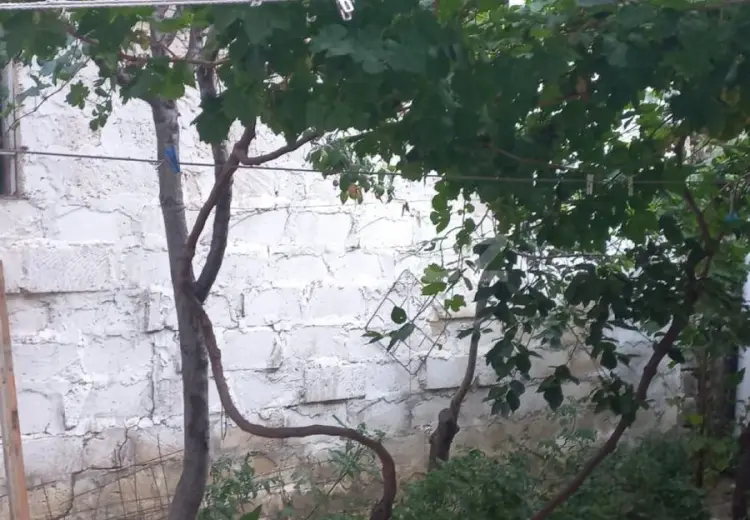3 otaqlı mənzil , Bakı