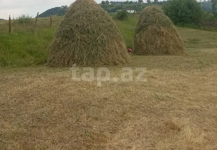 0 m² Obyekt / Ofis , Tovuz