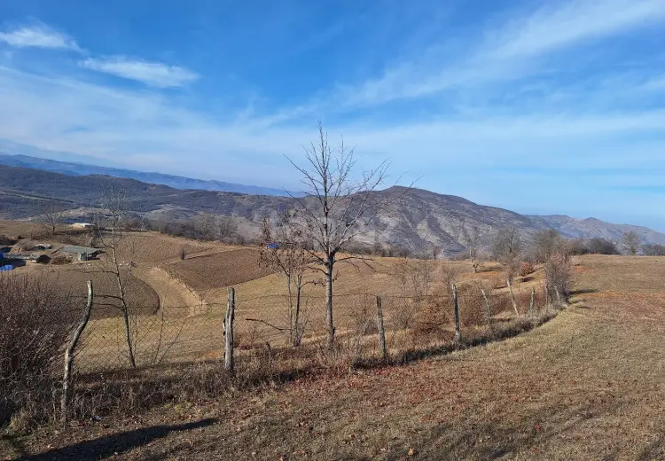 0 m² Obyekt / Ofis , Tovuz