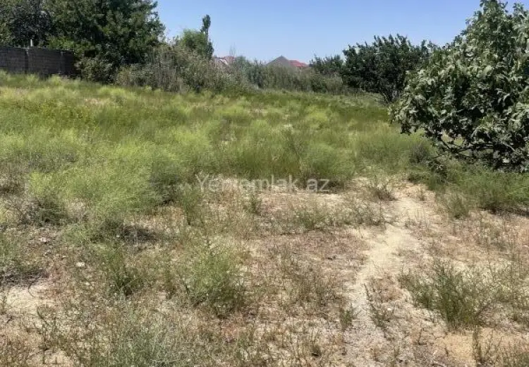 20 sot Torpaq Satılır, Novxanı, Abşeron