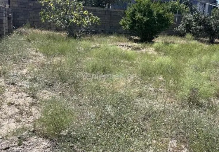 20 sot Torpaq Satılır, Novxanı, Abşeron