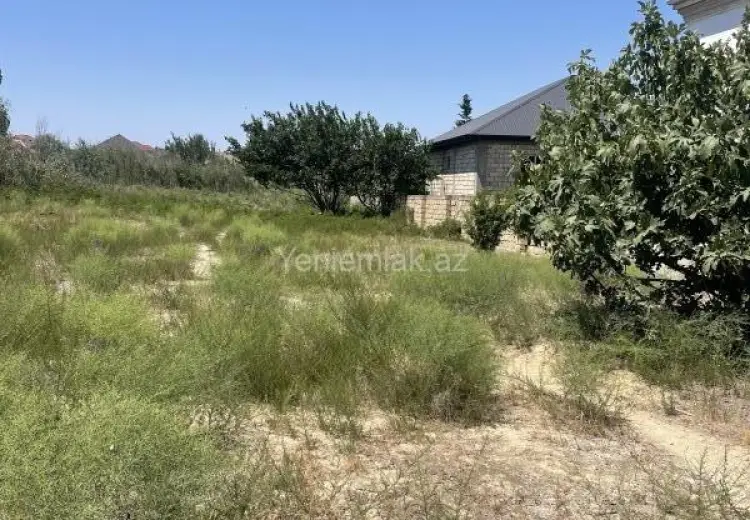 20 sot Torpaq Satılır, Novxanı, Abşeron