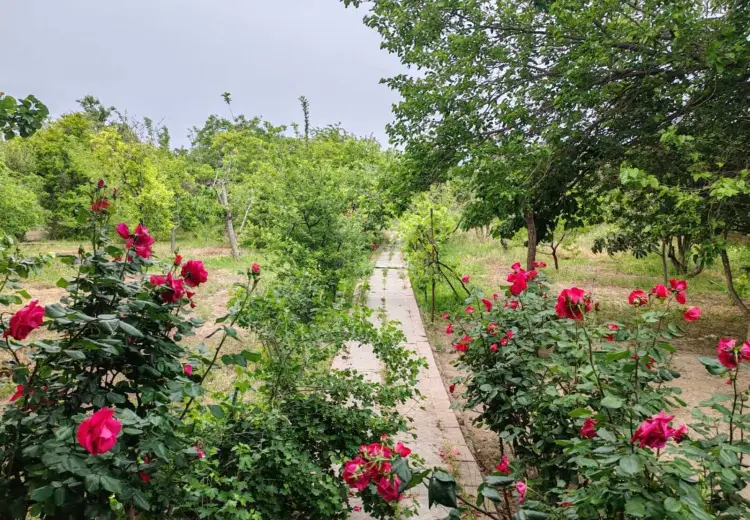 22 sot Torpaq Satılır, Abşeron