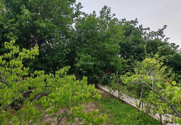 22 sot Torpaq Satılır, Abşeron