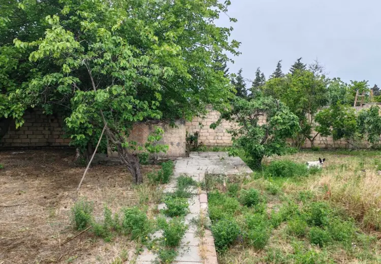 22 sot Torpaq Satılır, Abşeron