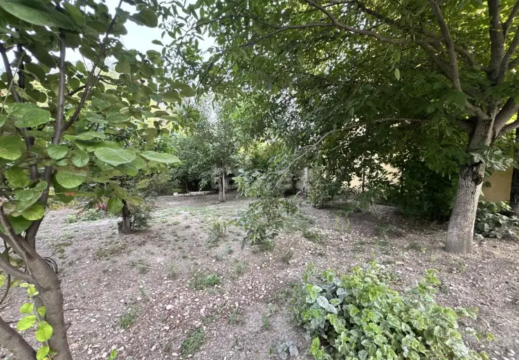 0 m² Obyekt / Ofis , Qusar