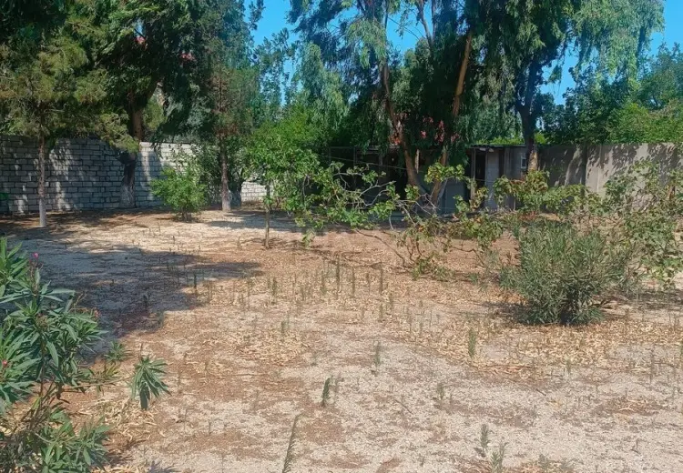 6 sot Torpaq Satılır, Mərdəkan, Xəzər, Bakı