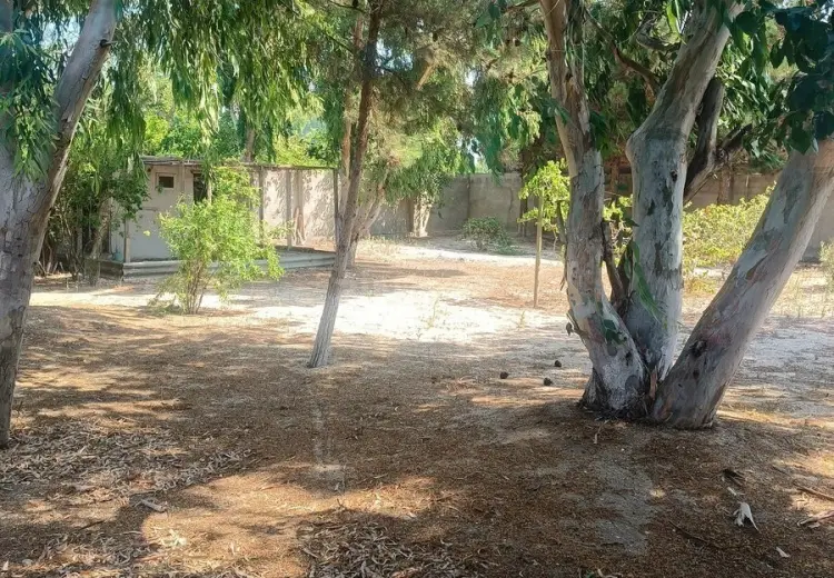 6 sot Torpaq Satılır, Mərdəkan, Xəzər, Bakı