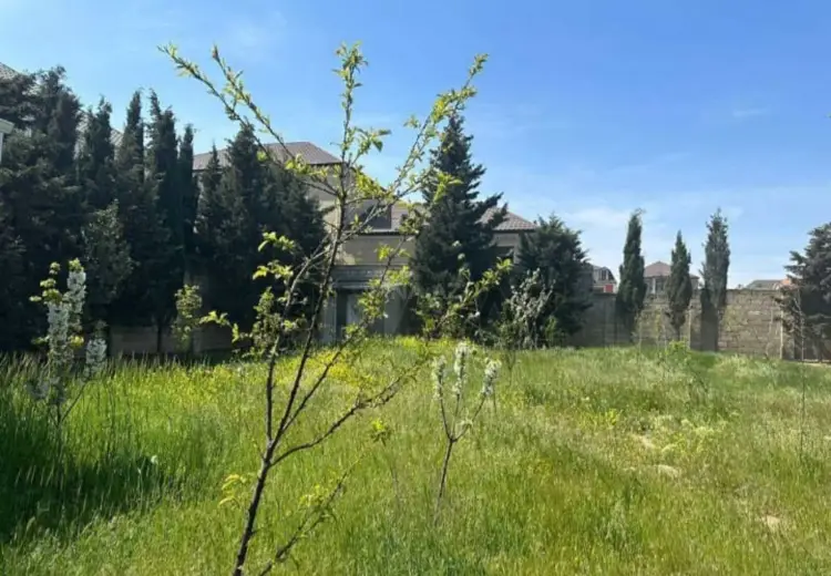 8 sot Torpaq Satılır, Mərdəkan, Xəzər, Bakı