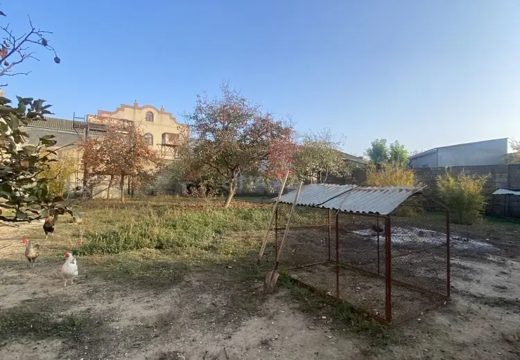 5.3 sot Torpaq Satılır, Qaraçuxur qəs., Suraxanı, Bakı