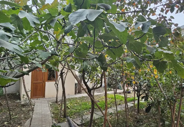 4 otaqlı mənzil Satılır, Biləcəri qəs., Binəqədi, Bakı