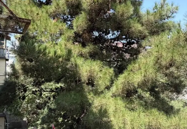 2 otaqlı mənzil Satılır, 4-cü mikrorayon, Abşeron