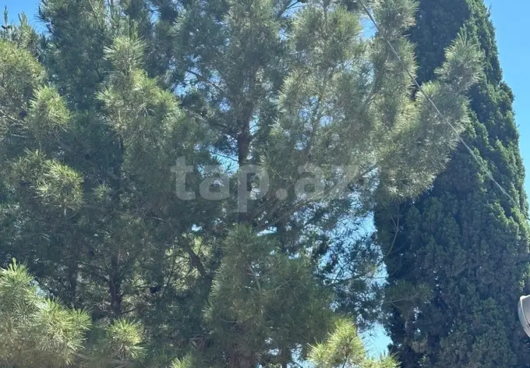 4 otaqlı mənzil , Bakı