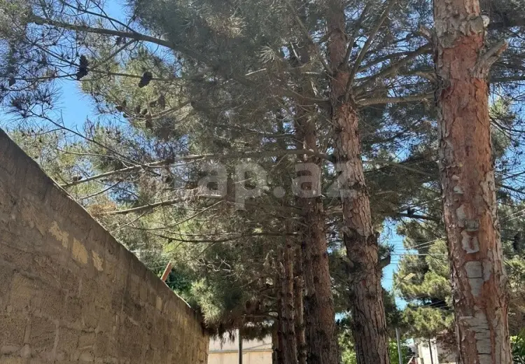 4 otaqlı mənzil , Bakı