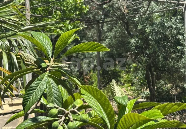 4 otaqlı mənzil , Bakı