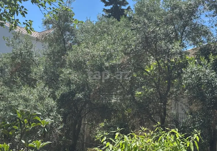 4 otaqlı mənzil , Bakı