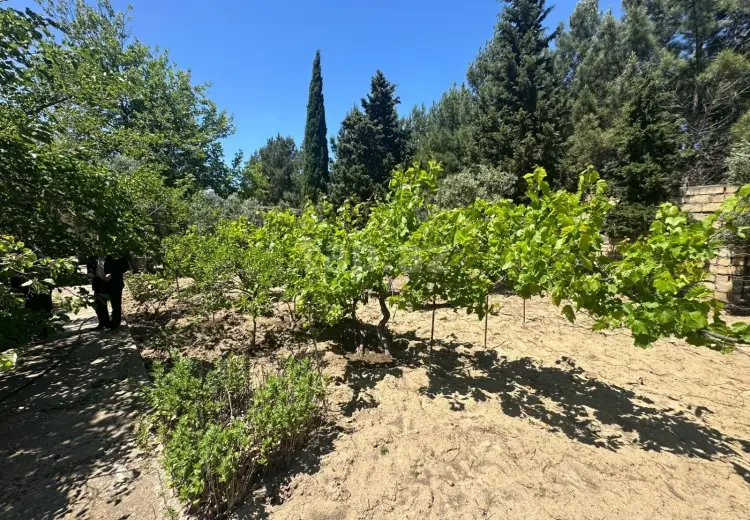 4 otaqlı mənzil , Bakı