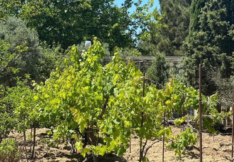 4 otaqlı mənzil , Bakı