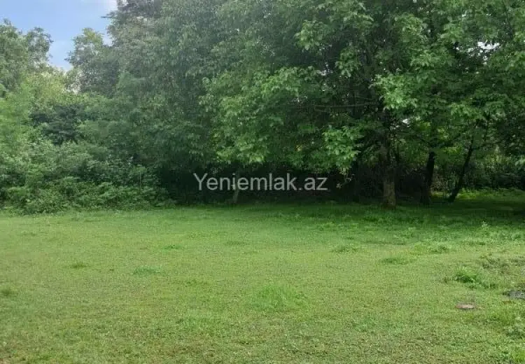 3 sot Torpaq Satılır, Qəbələ