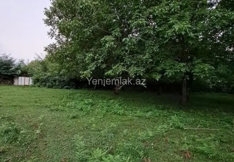 3 sot Torpaq Satılır, Qəbələ