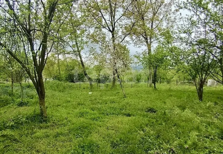 0 m² Obyekt / Ofis , Qəbələ