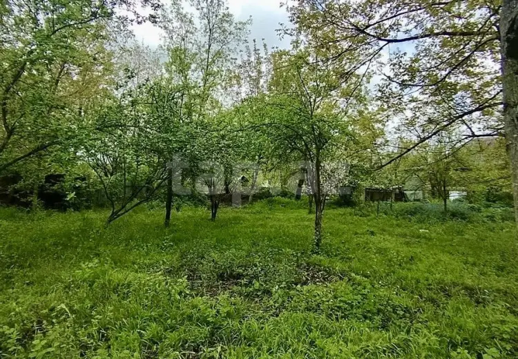 0 m² Obyekt / Ofis , Qəbələ