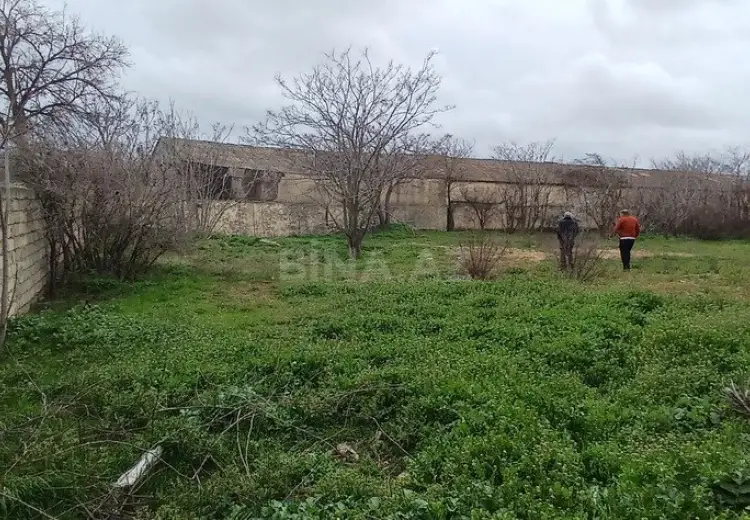 30 sot Torpaq Satılır, Bakıxanov qəs., Sabunçu, Bakı