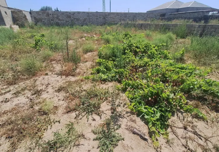 5 sot Torpaq Satılır, Nardaran qəs., Sabunçu, Bakı
