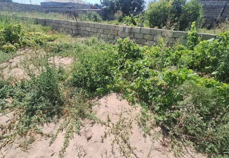5 sot Torpaq Satılır, Nardaran qəs., Sabunçu, Bakı