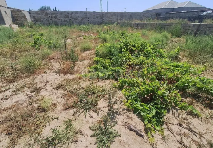 0 m² Obyekt / Ofis , Nardaran qəs., Sabunçu, Bakı