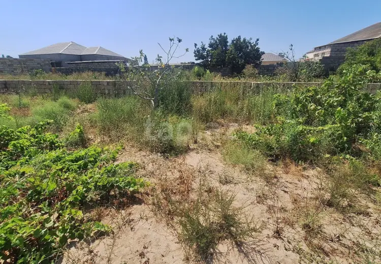 0 m² Obyekt / Ofis , Nardaran qəs., Sabunçu, Bakı