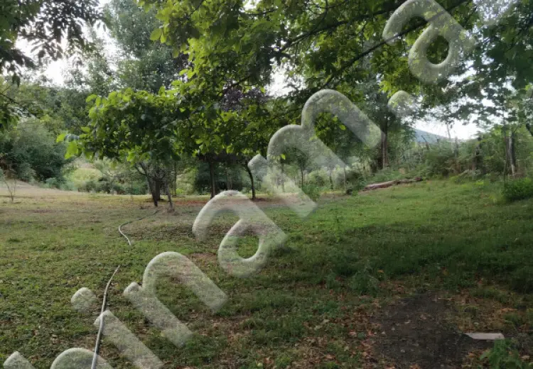 4 sot Torpaq Satılır, Lerik