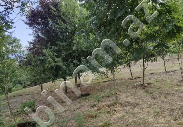 4 sot Torpaq Satılır, Lerik