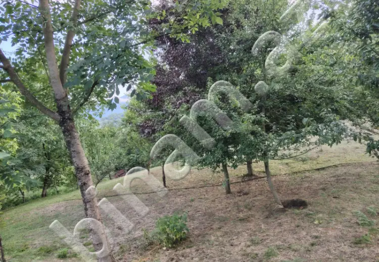 4 sot Torpaq Satılır, Lerik