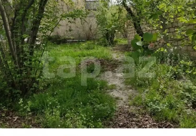 5 otaqlı mənzil , Şəki