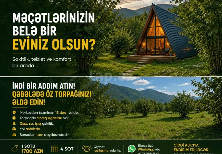 0 m² Obyekt / Ofis , Qəbələ