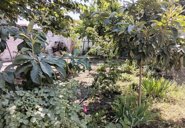 4 otaqlı mənzil , Sumqayıt