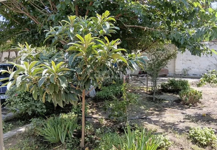 4 otaqlı mənzil , Sumqayıt