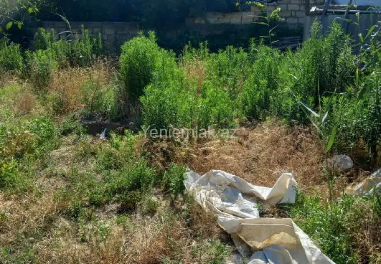 4 sot Torpaq Satılır, Corat bağları, Sumqayıt