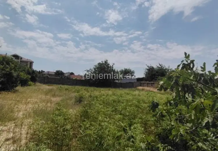 23 sot Torpaq Satılır, Qurd dərəsi, Sumqayıt
