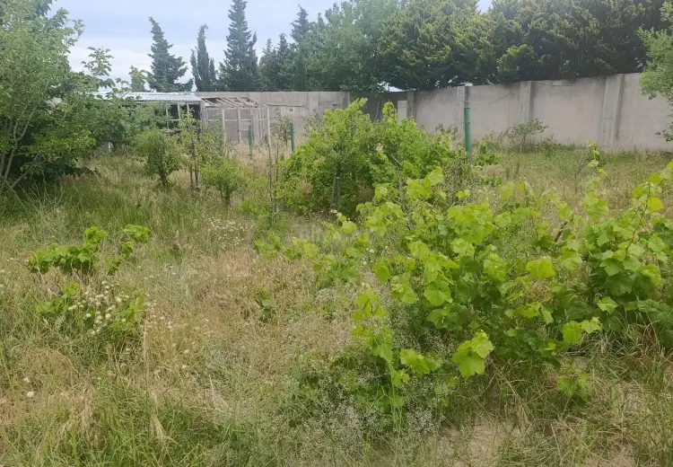 4 sot Torpaq Satılır, Fatmayı, Abşeron