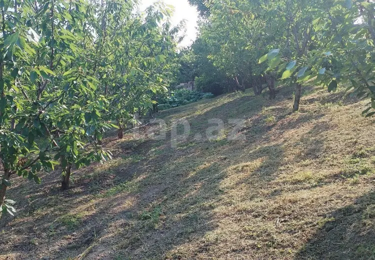 0 m² Obyekt / Ofis , Quba