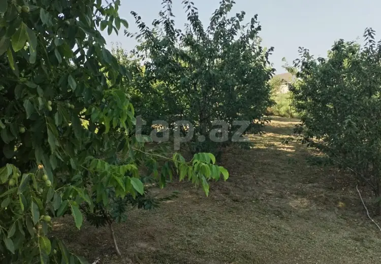0 m² Obyekt / Ofis , Quba