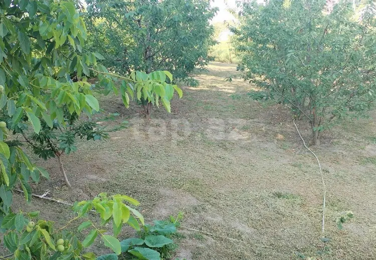 0 m² Obyekt / Ofis , Quba