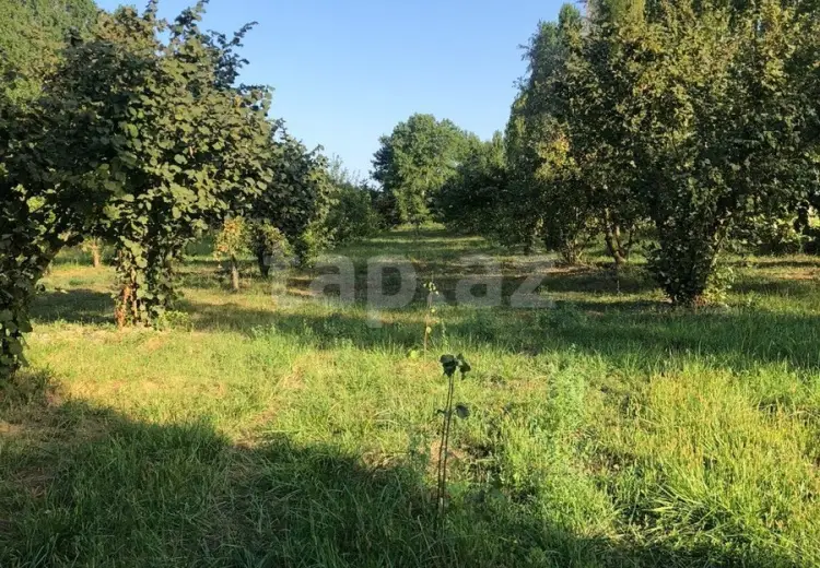 0 m² Obyekt / Ofis , Qusar
